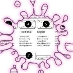 User Experience Design Process Book for Cindylangfordphotography.com